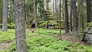 Kraví hora - JV vrchol II