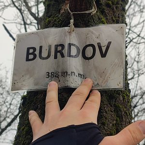 Burdov