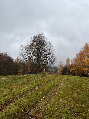 Zadní vrch - J vrchol