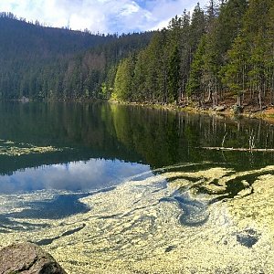 Pancíř - Černé a Čertovo jezero - rozhledna Špičák po modré