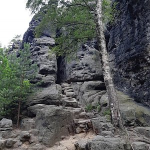 Lesní stezka a skalní vyhlídky