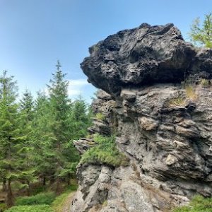 Lyra-Žárový vrch-Pytlácké kameny