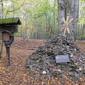 Jak se obyčejná "procházka" změnila v můj první pokus o půlmaraton.