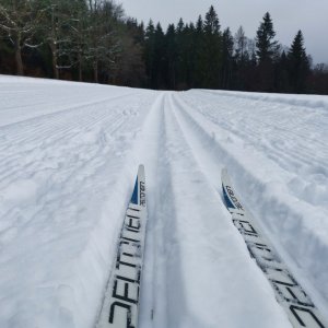 Lunch Nordic Ski