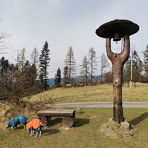 Girová přes Soušský vrch z Hrčavy