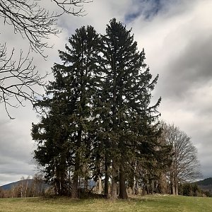 Sobotín - Skřítek