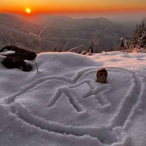 -Tyra-Smrčina-Ropice-Šindelná-Javorový vrch #7-Malý Javorový #17-Guty