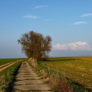 Středeční procházka k Rovnině