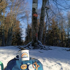 Moravskoslezské Beskydy