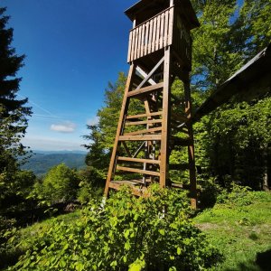 Papradno,Podjavornik - Orgoňova Kyčera,Udiča,Prosné Prosné