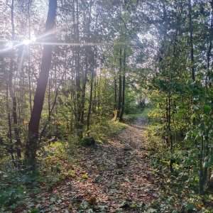 Ještědsko-kozákovský hřbet