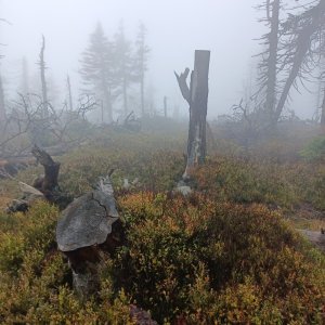 Králický Sněžník