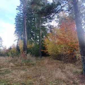 Jablunkovská brázda