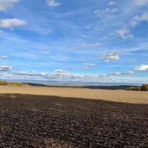 Křemela a Bořík ☀️🌬️🍁
