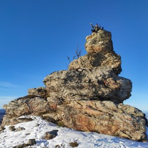 Zlatohorská vrchovina