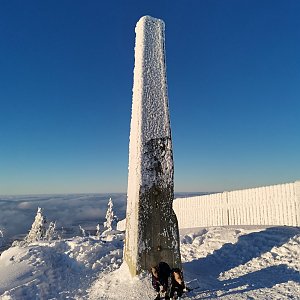 Šárka na vrcholu Lysá hora (13.12.2022 15:01)