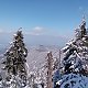 Milan Meravy na vrcholu Lysá hora (1.4.2020 12:44)