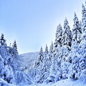 Zuzka Brožková na vrcholu Lysá hora (1.1.2021 11:51)