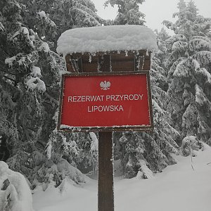 Petra Kopačková na vrcholu Rysianka (19.12.2021 13:06)