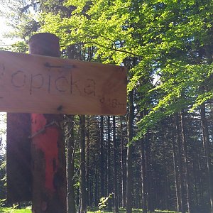 Jaroslav Macura na vrcholu Ropička (29.5.2022 8:19)