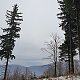 Nýdecká horalka na vrcholu Ropička (18.1.2020 14:05)