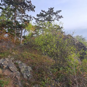 Anna na vrcholu Kameníček (29.10.2023)