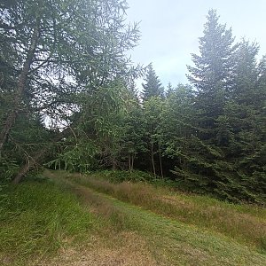 Vojta Žiak na vrcholu Polomka (20.7.2024 18:11)