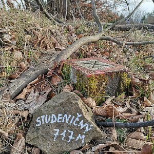 Šárka na vrcholu Studeničný (15.3.2024 15:44)