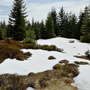 Vladimír Grančay na vrcholu Studená hora - V vrchol (22.4.2023 13:21)