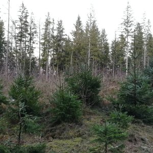 Vladimír Grančay na vrcholu Pavlův vrch (6.1.2025 16:15)