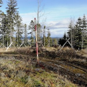 Vladimír Grančay na vrcholu Bruskov (24.1.2025 11:41)