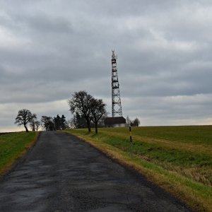 Horalka Anička na vrcholu Kutík (3.12.2024 10:31)