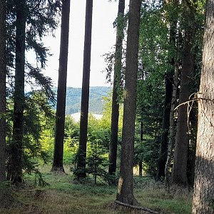 Zdeněk Munzar na vrcholu Nad Rajským Mlýnem (13.7.2023 17:57)