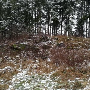 Vladimír Grančay na vrcholu Nad Rajským Mlýnem (16.1.2025 16:42)