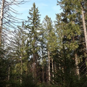 Bouřka na vrcholu Můstek - Z vrchol III (9.11.2024 12:07)