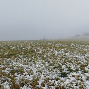 Vladimír Grančay na vrcholu Kopky (30.11.2025 11:49)