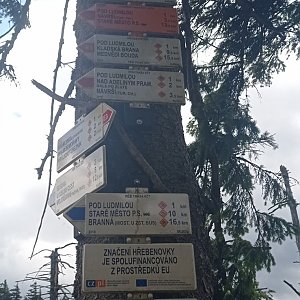 Veronika Burdová na vrcholu Stříbrnická (16.7.2022 12:05)