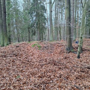 Cyklista 73 na vrcholu Bukov (6.1.2025 8:24)