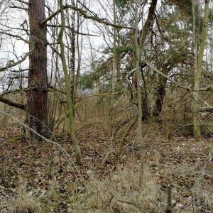 Vladimír Grančay na vrcholu Na Skalici (24.1.2025 15:28)