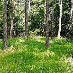 Vladimír Grančay na vrcholu V Horách - JV vrchol (25.7.2024 13:26)