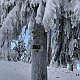 Zuzka Beyerová na vrcholu Zimný (15.1.2019 10:45)