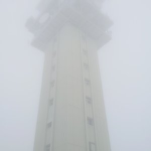 Nojby na vrcholu Klínovec (18.11.2025 12:04)