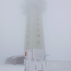 Nojby na vrcholu Klínovec (27.11.2025 12:28)