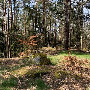 Bína na vrcholu Chocholka (22.4.2023 13:34)