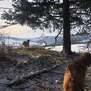Anežka Boříková na vrcholu Na Hůrce (21.1.2024 11:34)