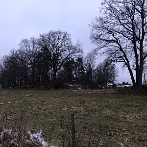 Anežka Boříková na vrcholu V Lipí (26.1.2023 16:15)