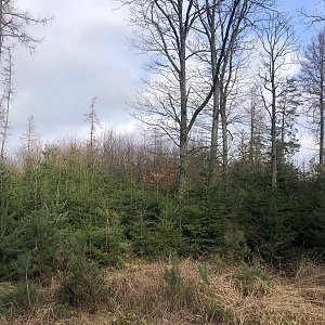 Anežka Boříková na vrcholu Hrádek (2.3.2024 11:19)