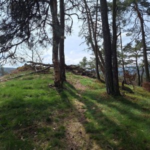 Cyklista 73 na vrcholu Babská skála (10.4.2025 10:54)