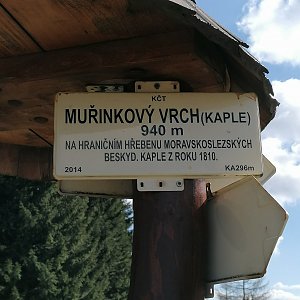 Bagr na vrcholu Muřinkový vrch - kaple (12.4.2023 14:41)