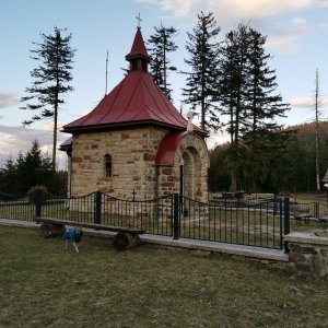 Šárka na vrcholu Muřinkový vrch - kaple (4.3.2024 16:50)